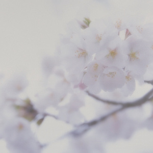 亚洲AV无码偷拍在线观看
